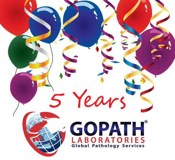 GoPath Celebrates 5 Years: 2012-2017