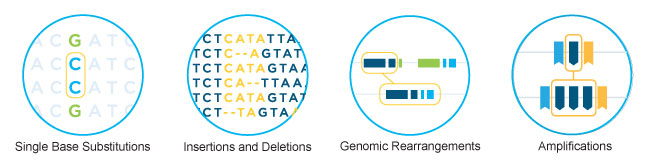 OncoTarget 125: Cutting-Edge Assay for Tumor-Specific Mutations